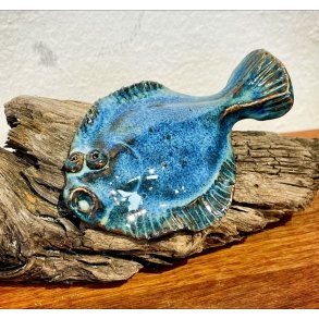 1 fladfisk p drivtmmer - Havbl 