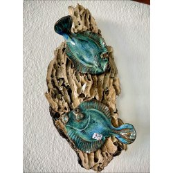 2 fladfisk p drivtmmer - Havbl lys