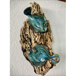 2 fladfisk p drivtmmer - Havbl lys