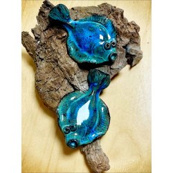 2 fladfisk p drivtmmer - Havbl lys