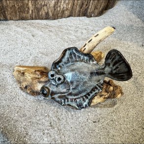 Fladfisk p� tr� - Bl�gr�