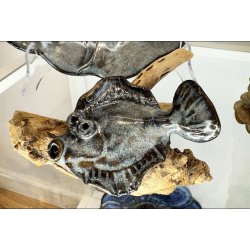 Fladfisk p� tr� - Bl�gr�