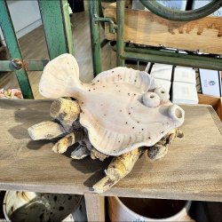 Fladfisk p� tr� - Lyser�d med pletter