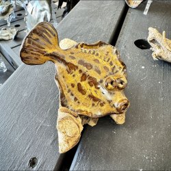 Fladfisk p� tr� - Brun