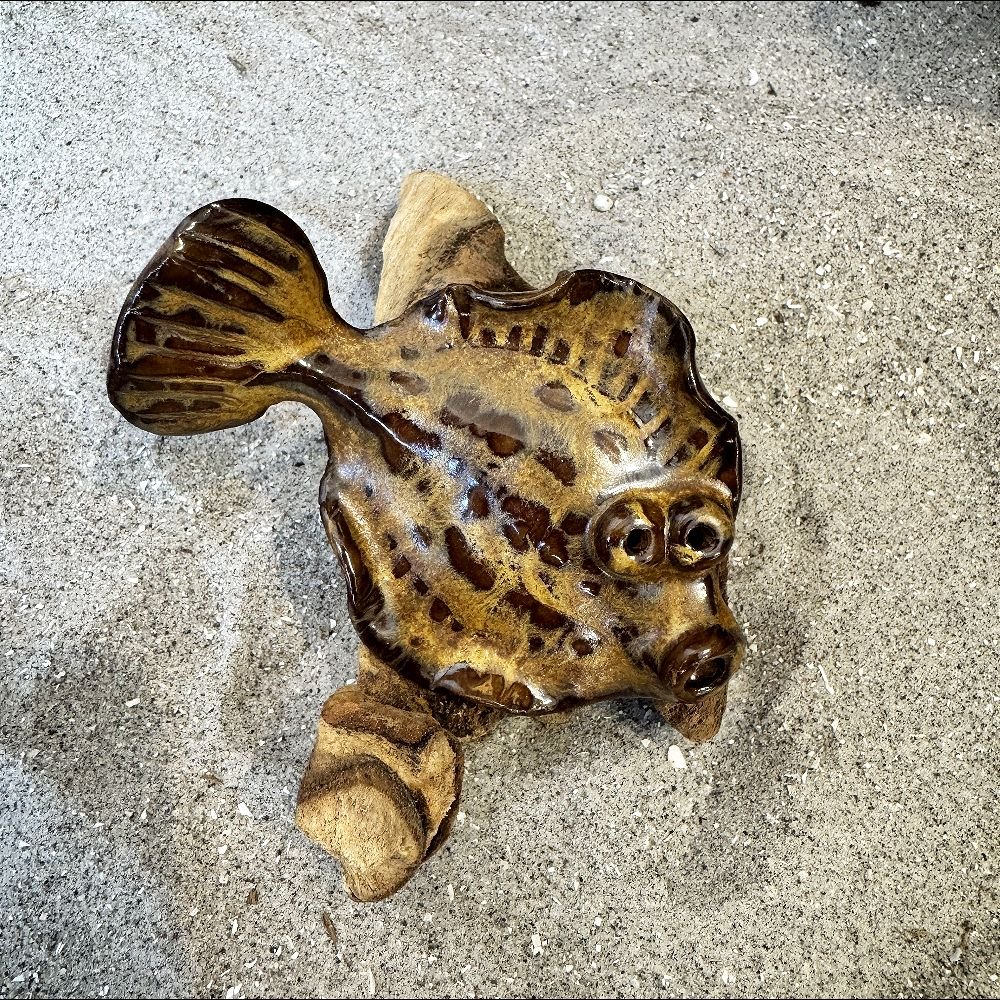 Fladfisk p� tr� - Brun