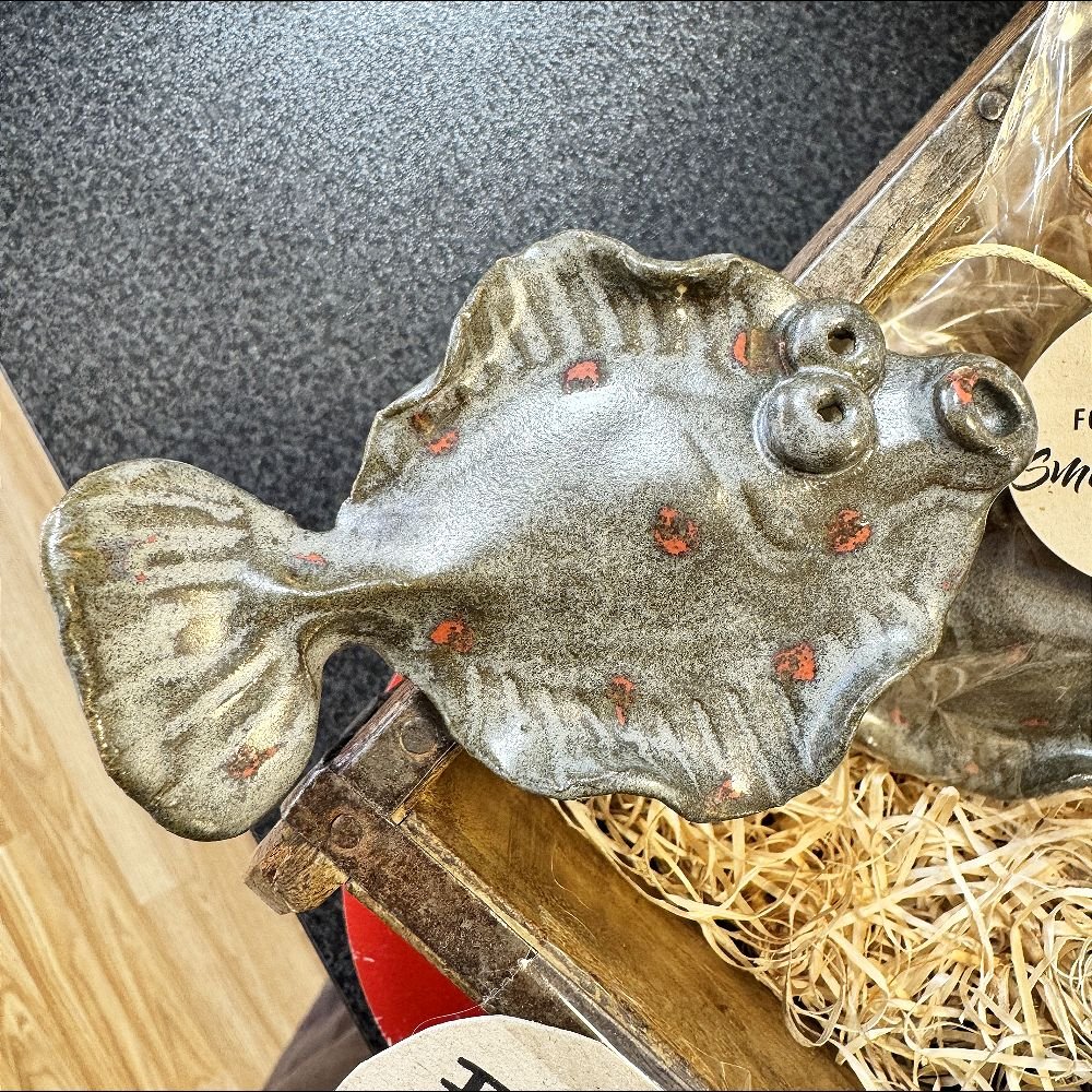 Fladfisk med Magnet