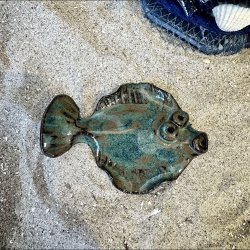 Fladfisk med Magnet