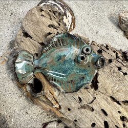 Fladfisk med Magnet