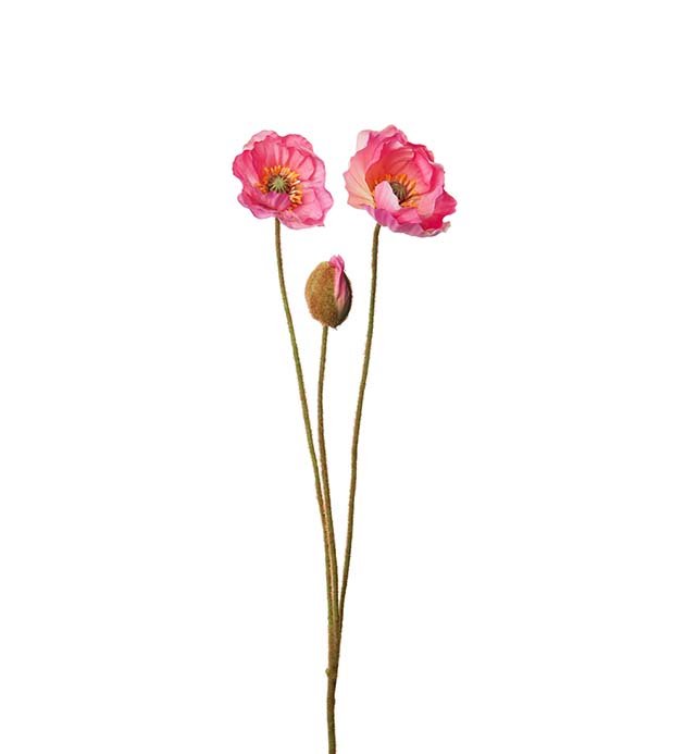 Valmue - 75 cm. - Pink