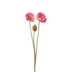 Valmue - 75 cm. - Pink