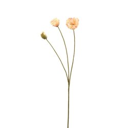 Valmue - 75 cm. - Fersken