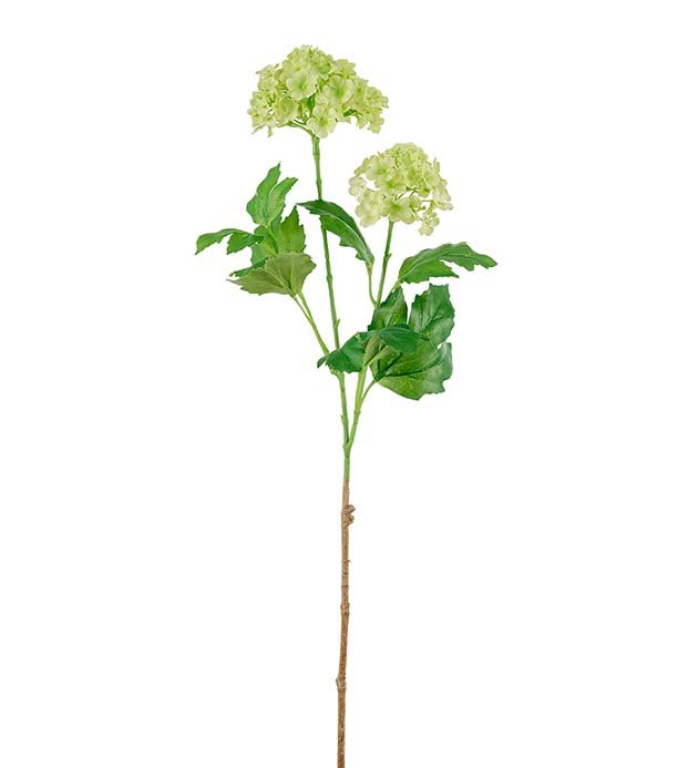 Kvalkved - 60 cm - Gr�n