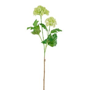 Kvalkved - 60 cm - Gr�n