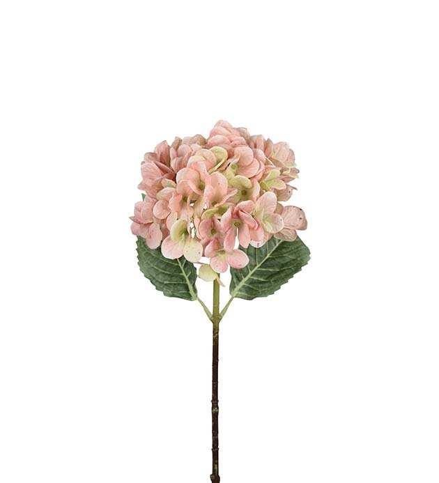 Hortensia - 48 cm - Lyser�d