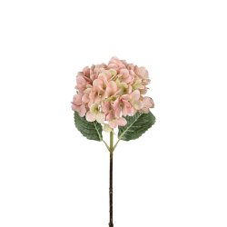 Hortensia - 48 cm - Lyser�d