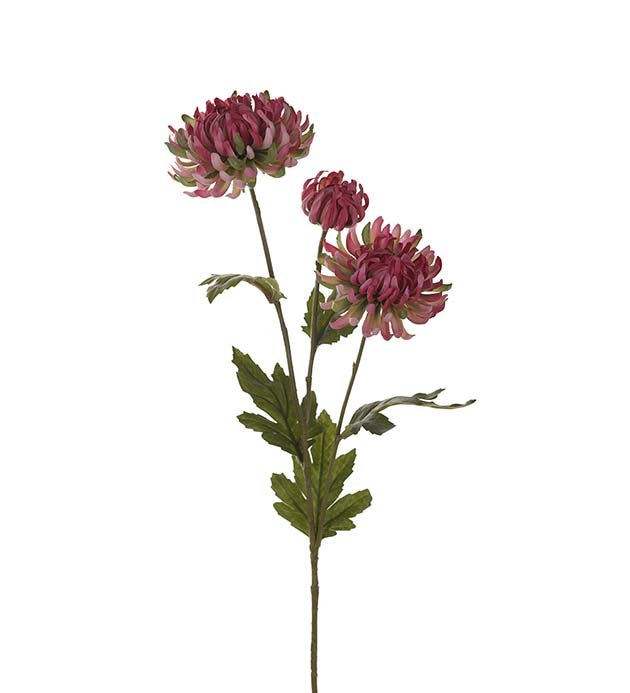 Chrysanthemum - Pink - 60 cm.