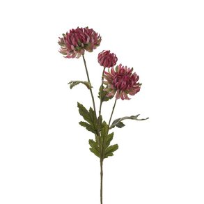 Chrysanthemum - Pink - 60 cm.